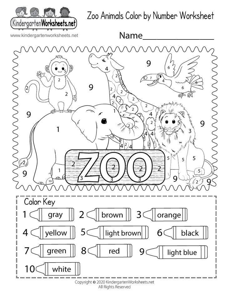 Kindergarten zoo animals color by number worksheet printable animal worksheets kindergarten worksheets color worksheets