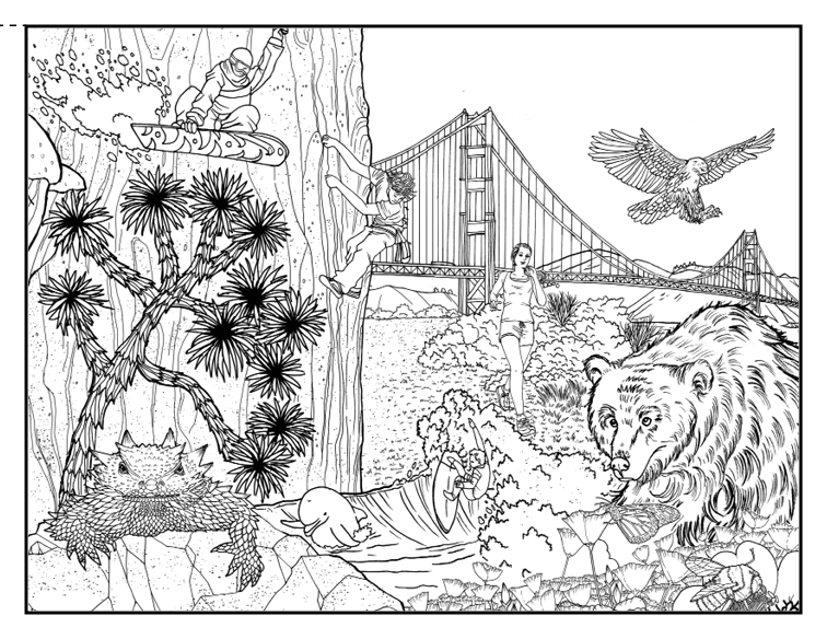 California coloring book â