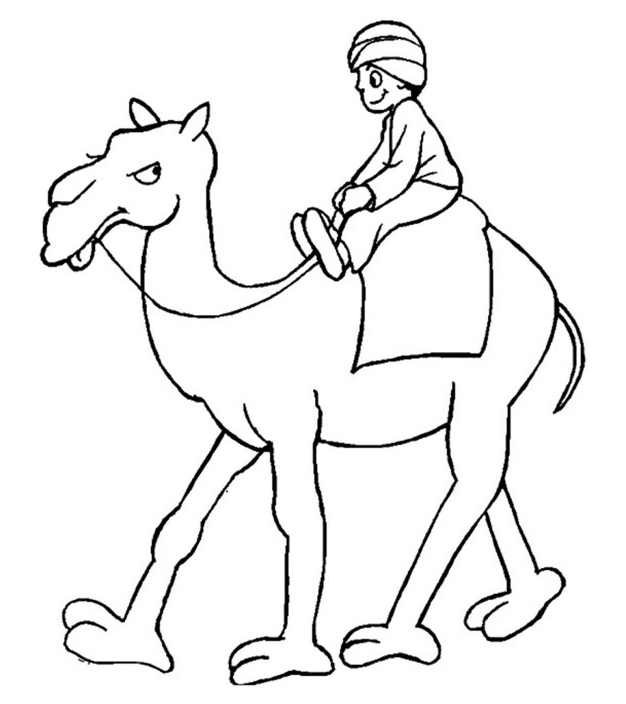 Top free printable camel coloring pages online