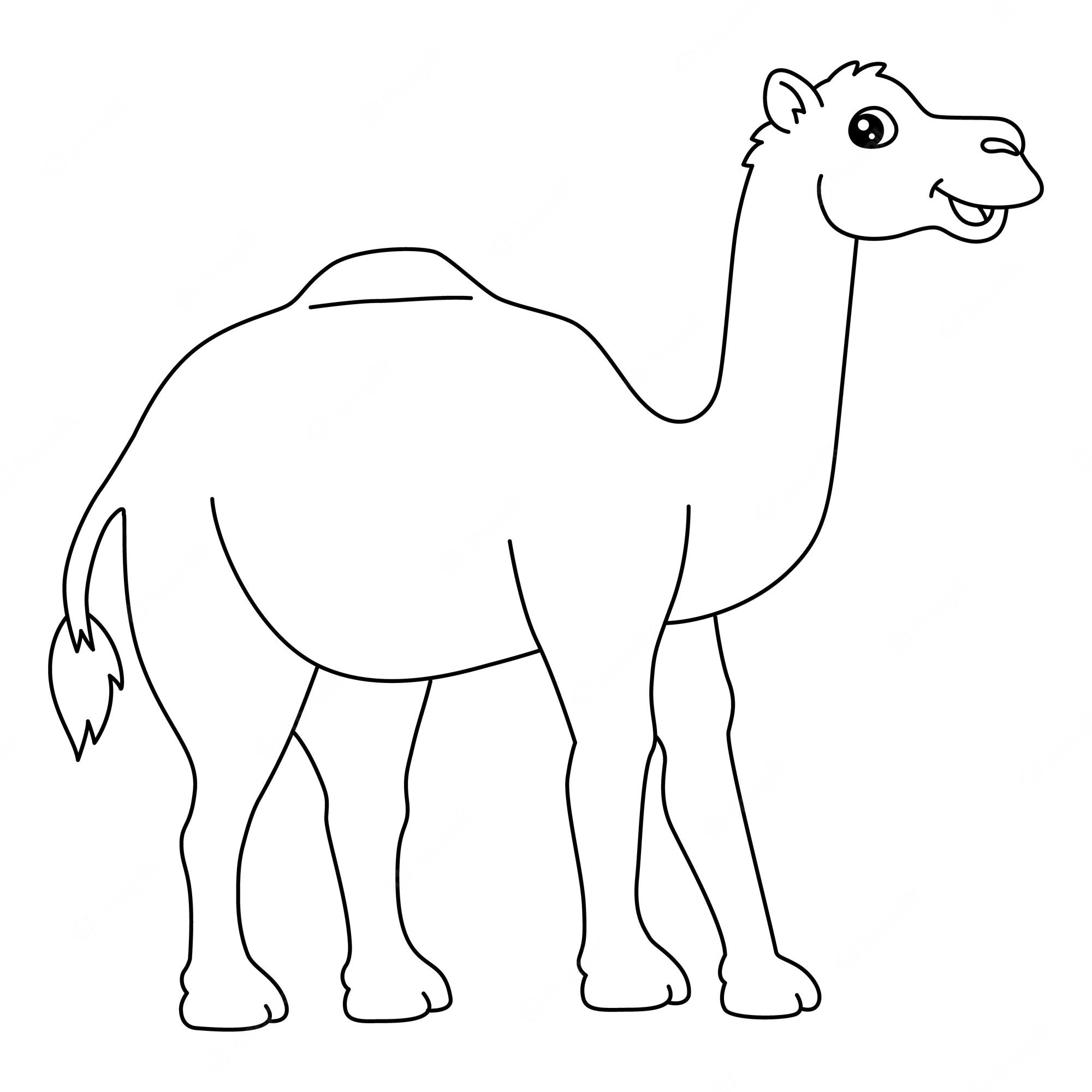 Premium vector a cute and funny coloring page of an arabian camel provides hours of coloring fun for children to color this page is very easy suitable for little kids and