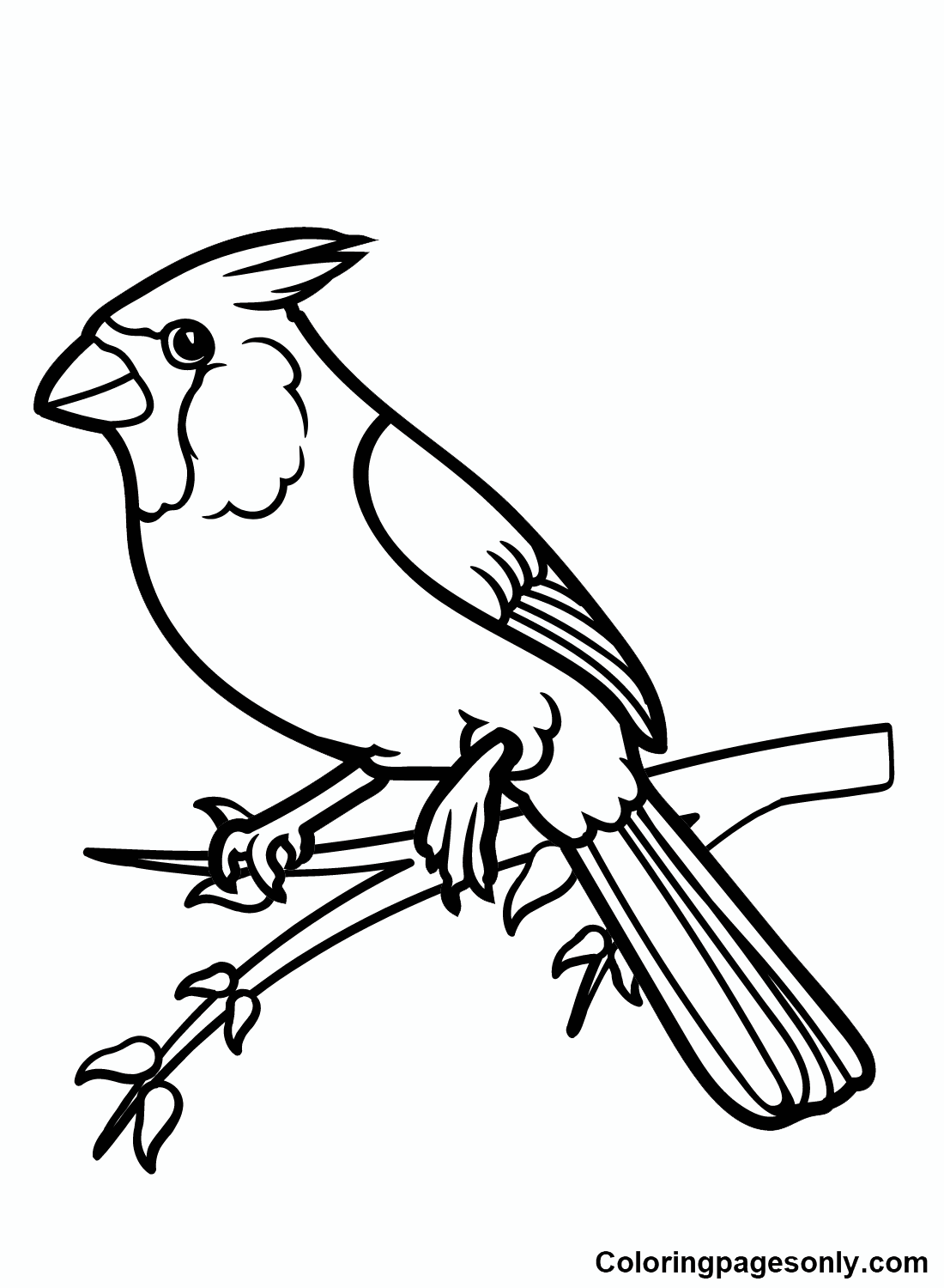 Cardinal coloring pages printable for free download