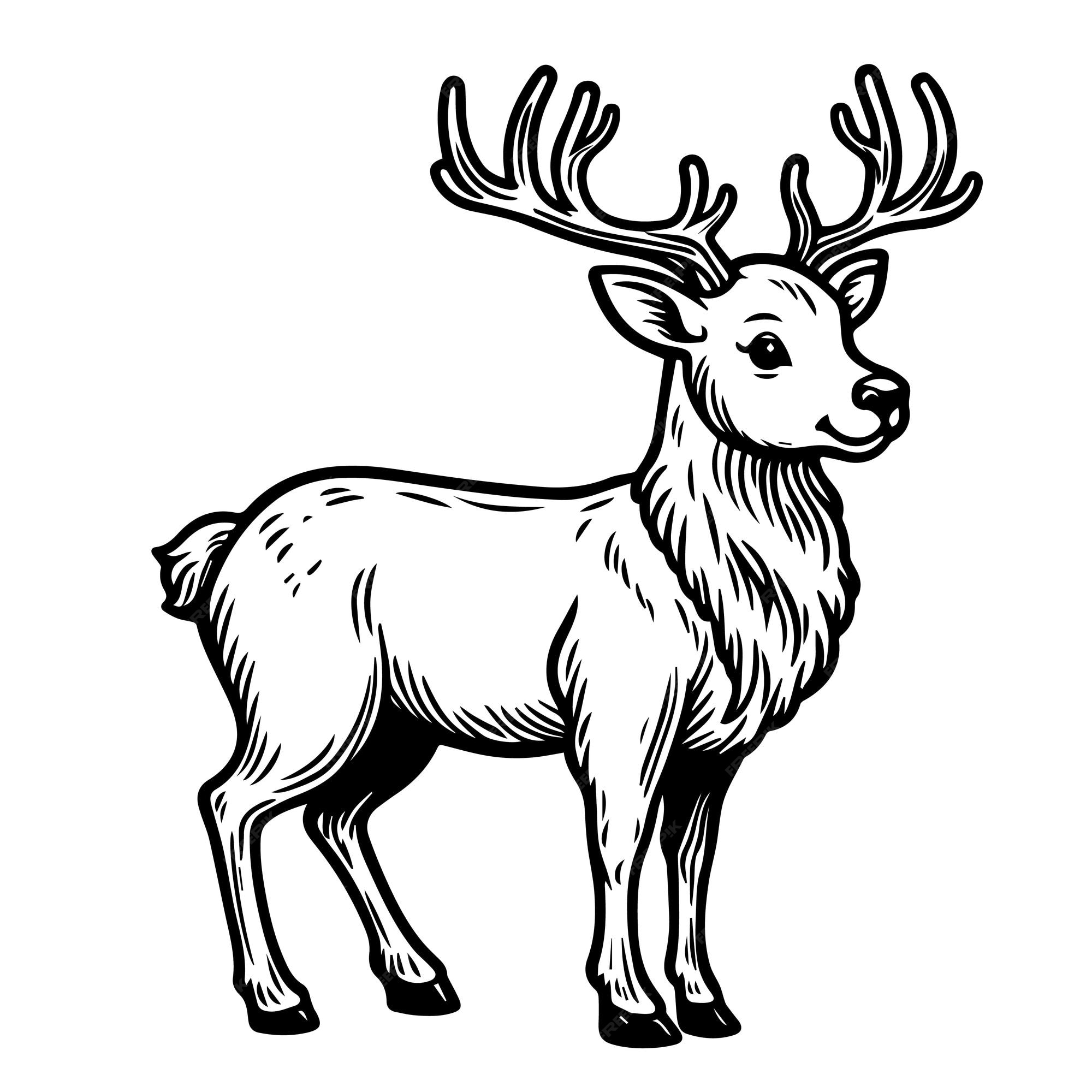 Premium vector vector caribou isolated coloring page