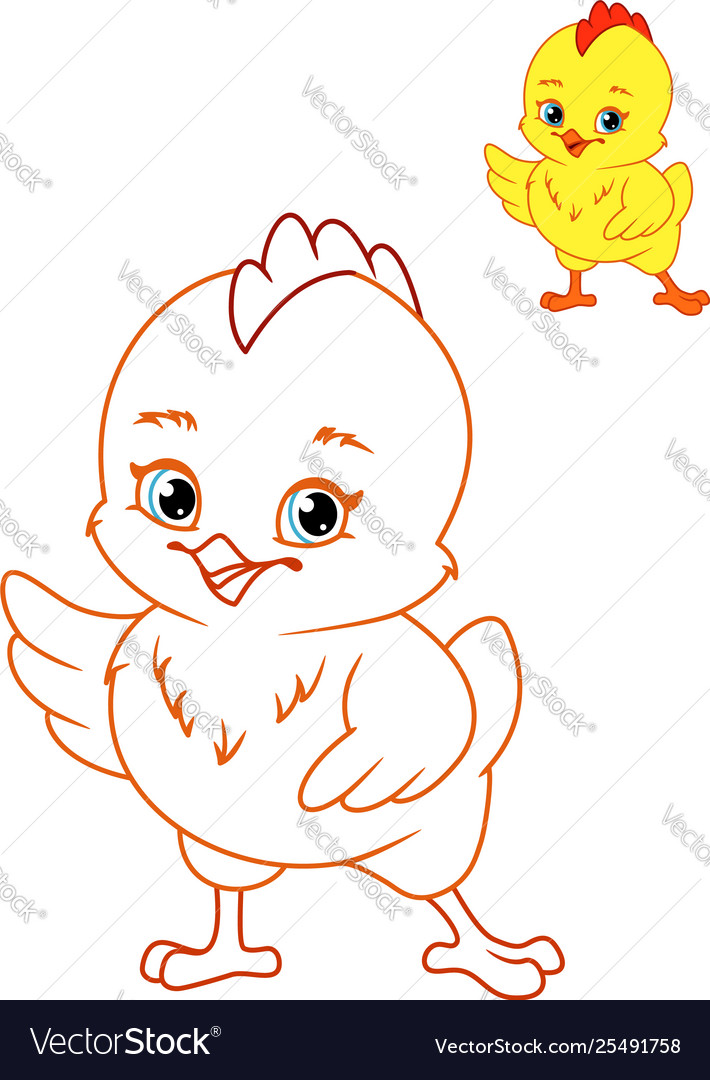 Chicken coloring page royalty free vector image