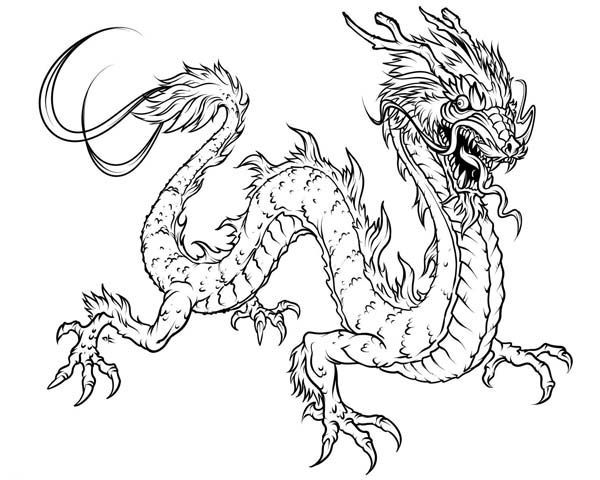 Fearsome chinese dragon coloring page dibujo de dragãn pãginas para colorear para adultos gratis dragones para colorear