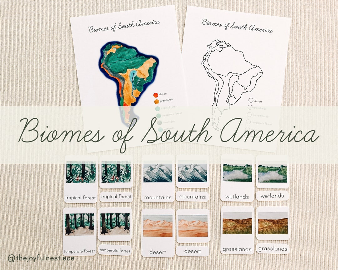 Biomes of south america montessori