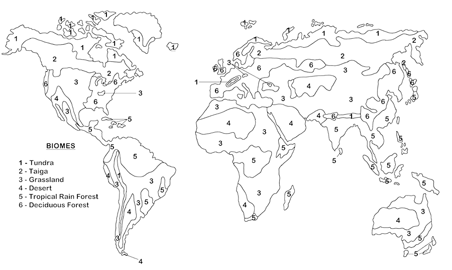 Biome map