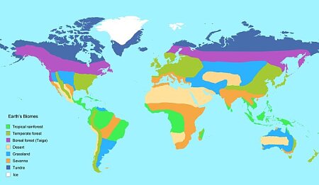 Photograph earths biomes map science source images