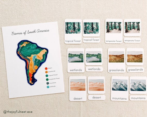 Biomes of south america montessori