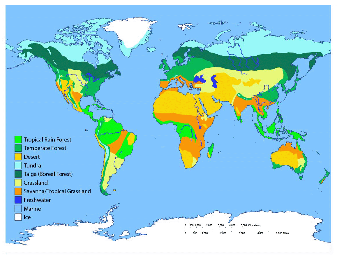 Biomes of the world ask a biologist