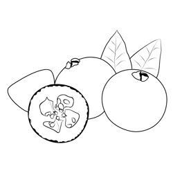 Cranberry coloring pages for kids printable free download
