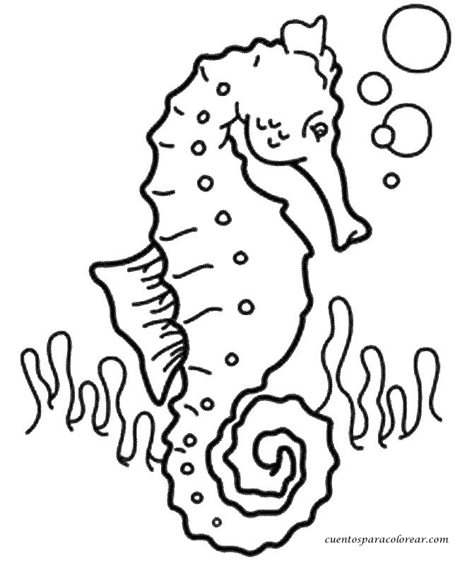Caballito de mar para colorear