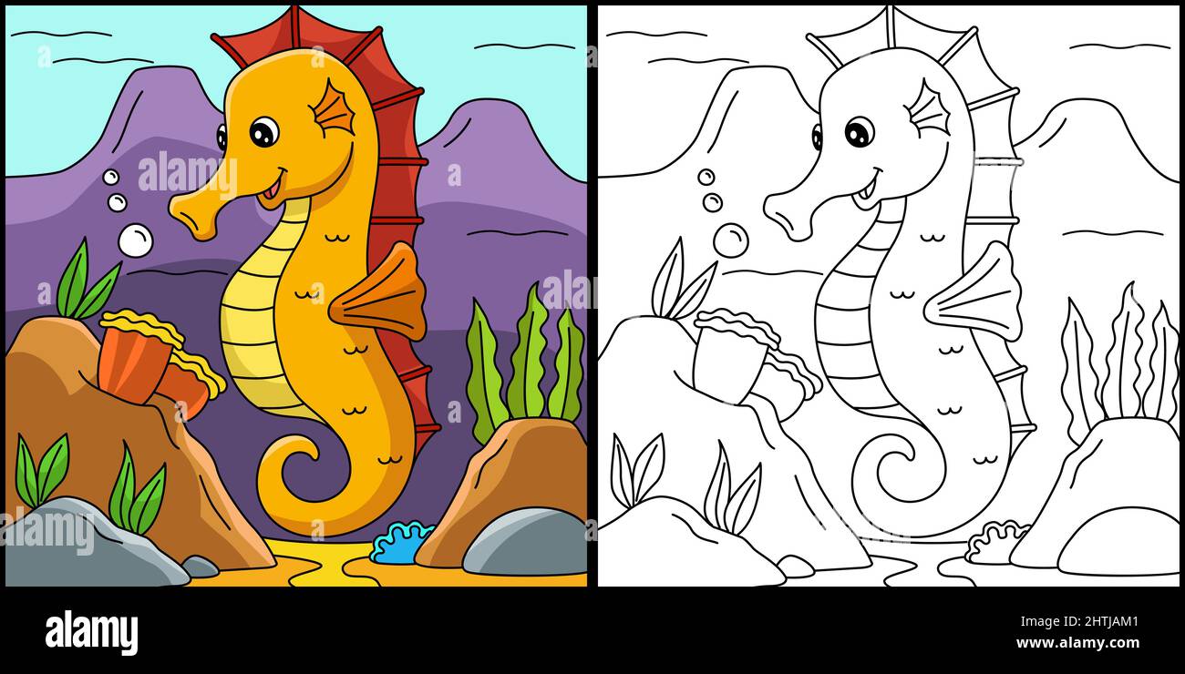 Seahorse coloring page colored illustration stock vector image art