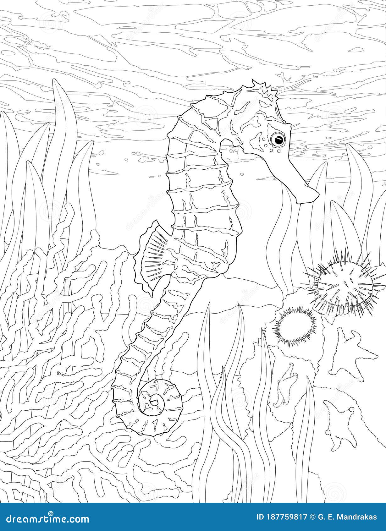 Coloring page of sea horse stock vector illustration of fondo