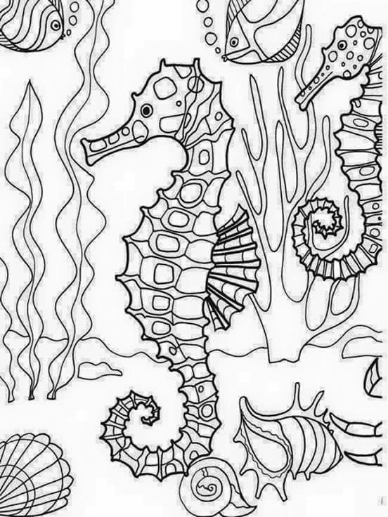 Caballito de mar ocean coloring pages animal coloring pages coloring pages