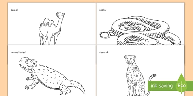Desert animals loring sheets