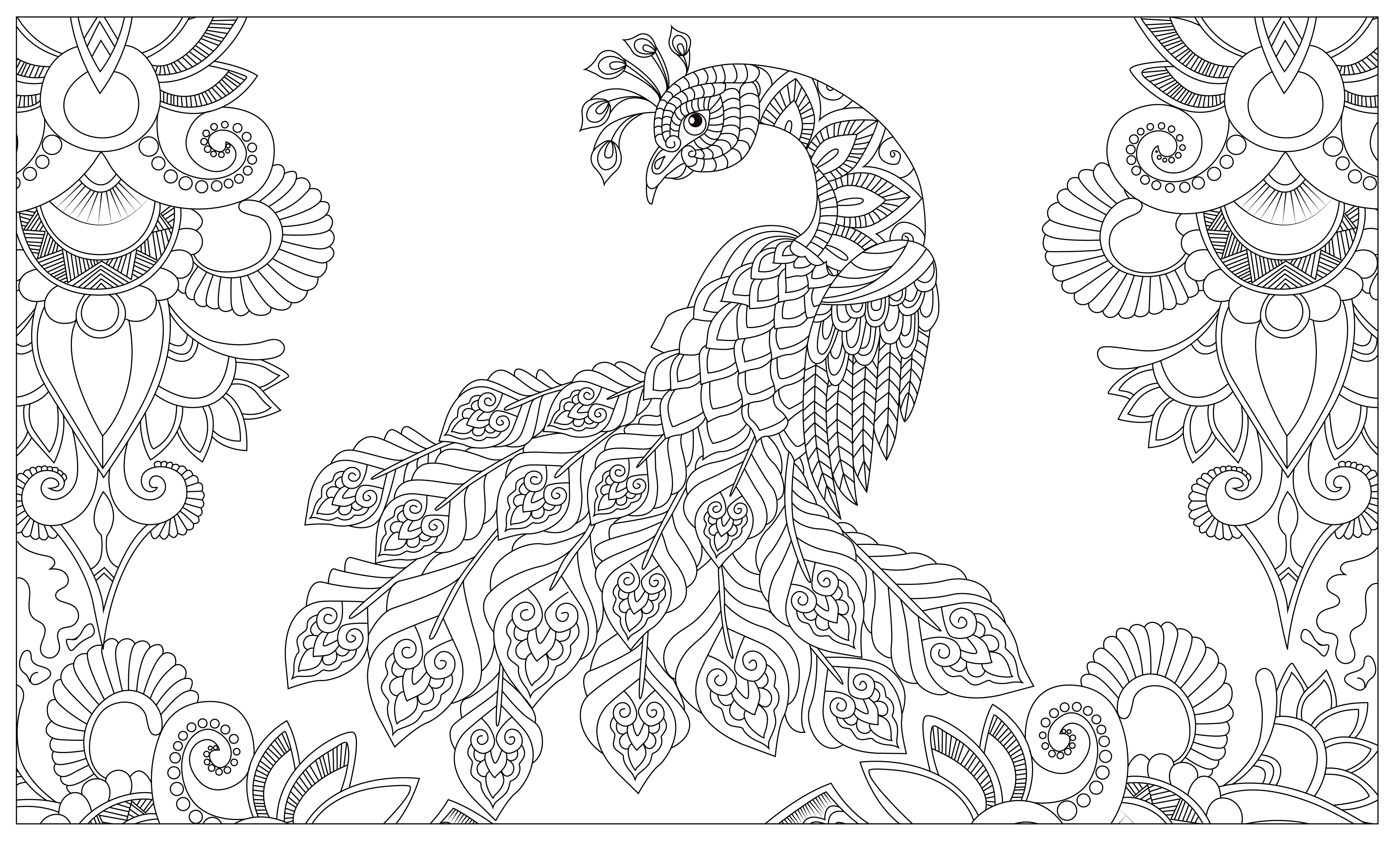 Draw detailed coloring pages for children and adults by enam