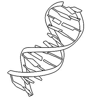 Pdb