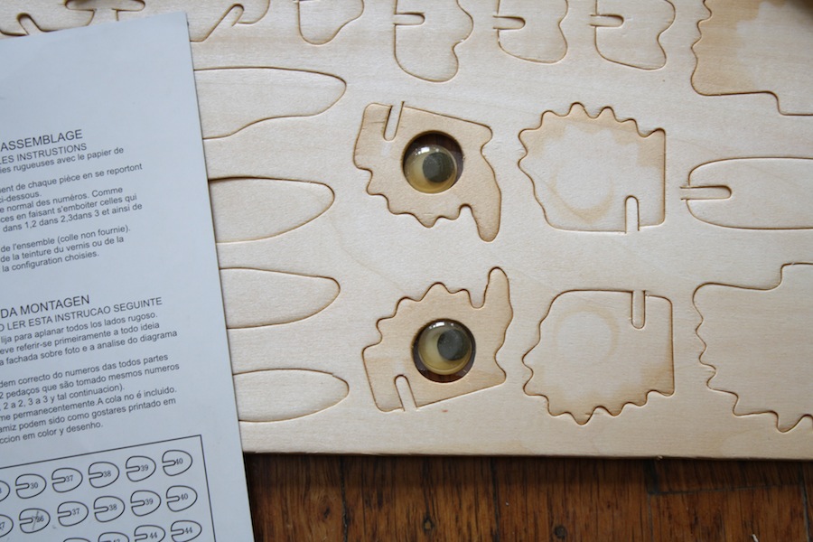 Staining and assembling a d owl puzzle