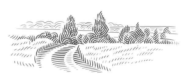 Dibujo de campos llanuras royalty