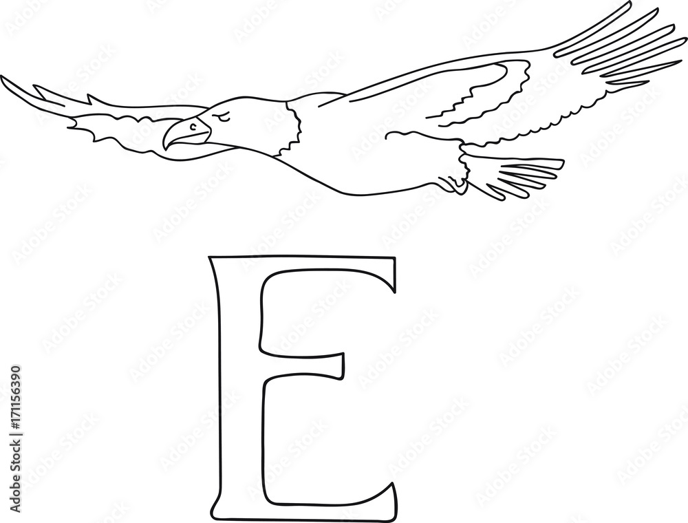 Vector hand drawn illustration capital letter e on alphabet card black and white realistic eagle isolated kids abc school education coloring page for children vector