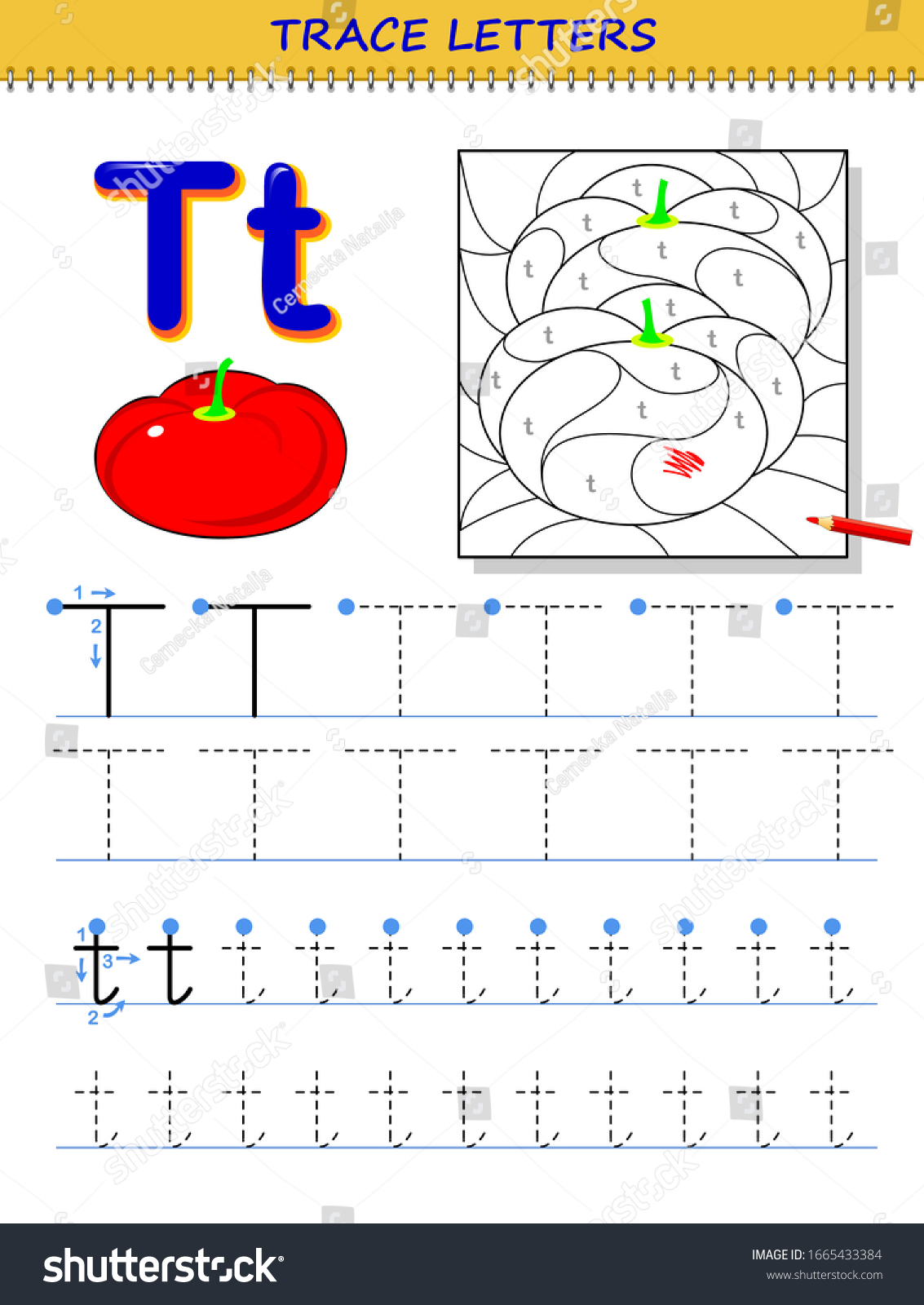 Tracing letter t study alphabet printable stock vector royalty free
