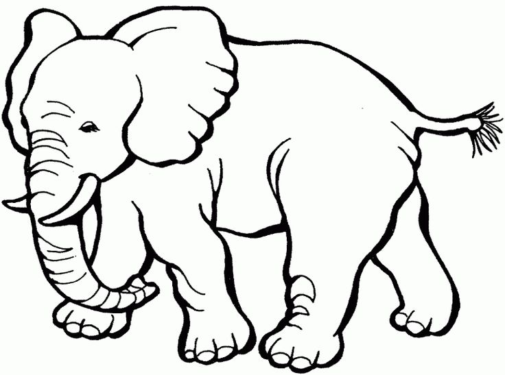 Free printable elephant coloring pages for kids elephant coloring page zoo animal coloring pages animal coloring pages