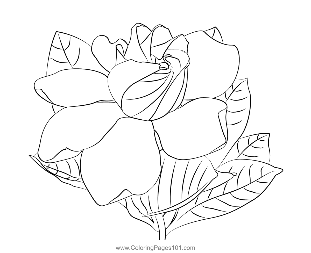 Gardenia flower coloring page for kids
