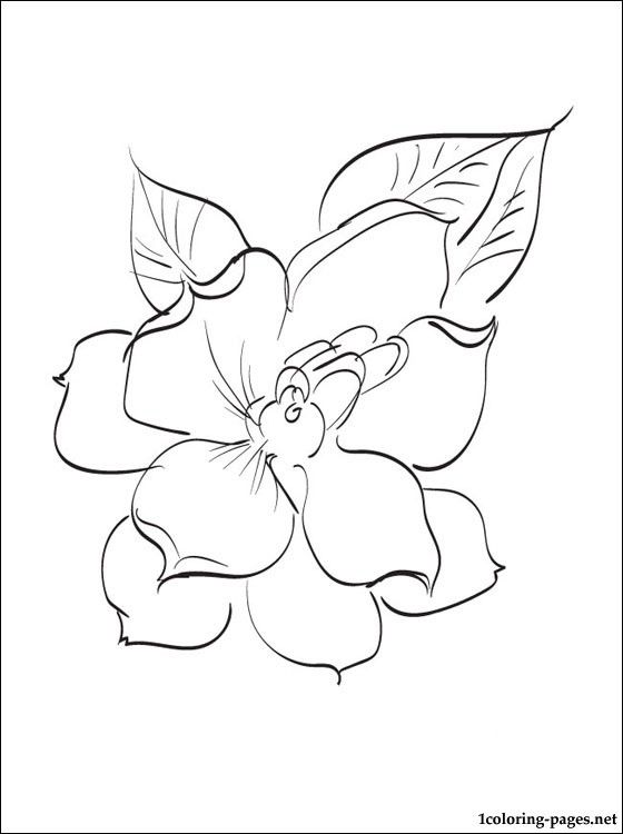 Gardenia flower coloring page sketch coloring page poppy flower drawing flower drawing sunshine tattoo small