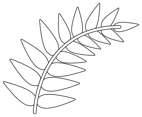Fern coloring page free printable coloring pages