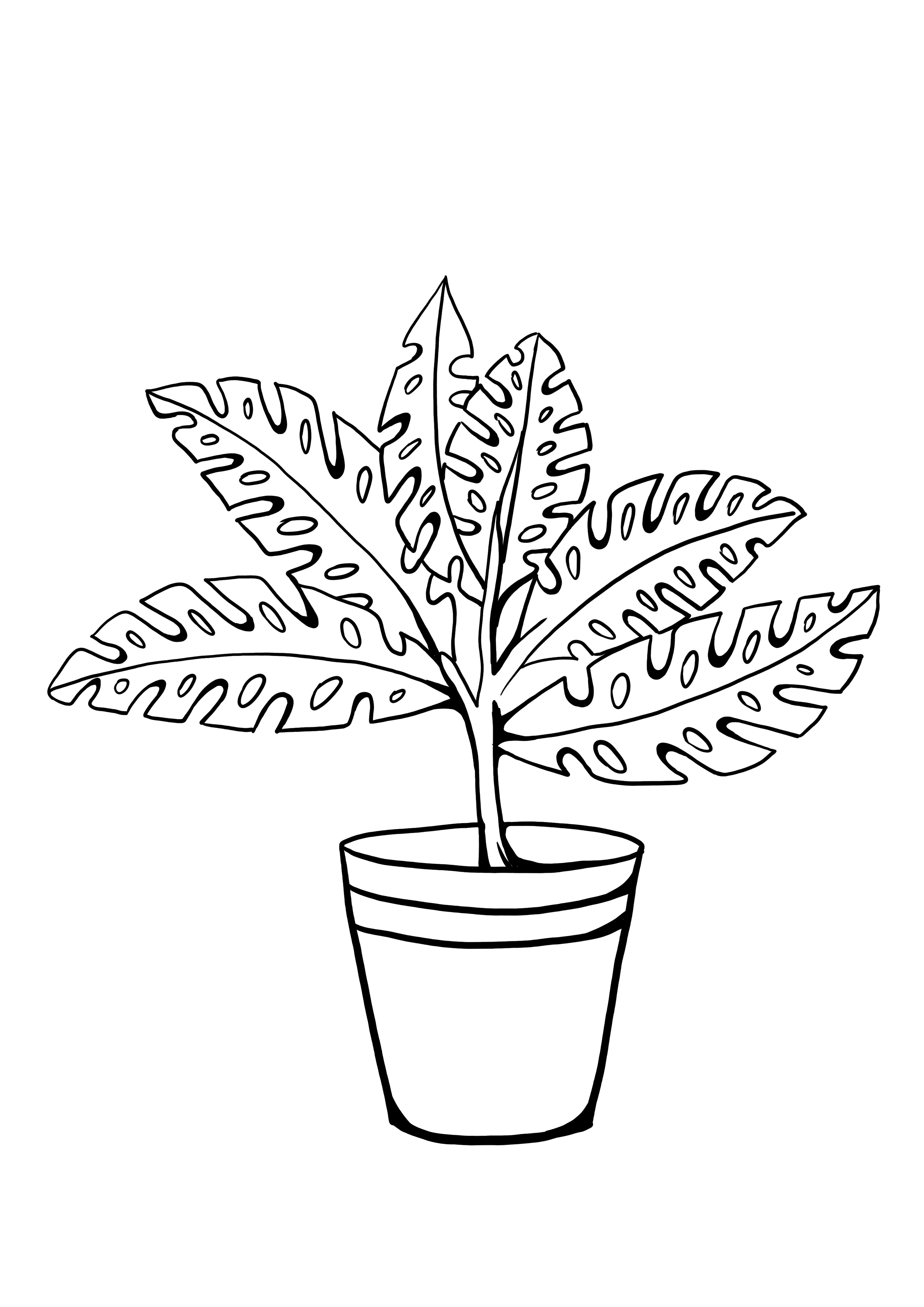 Fern to color and free printing