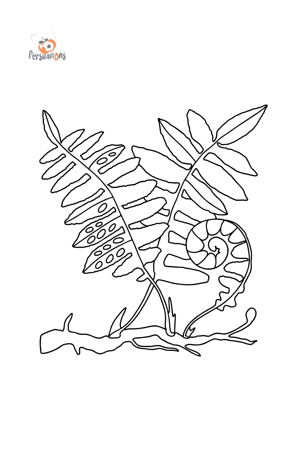 Fern leaves coloring page â online and print for free