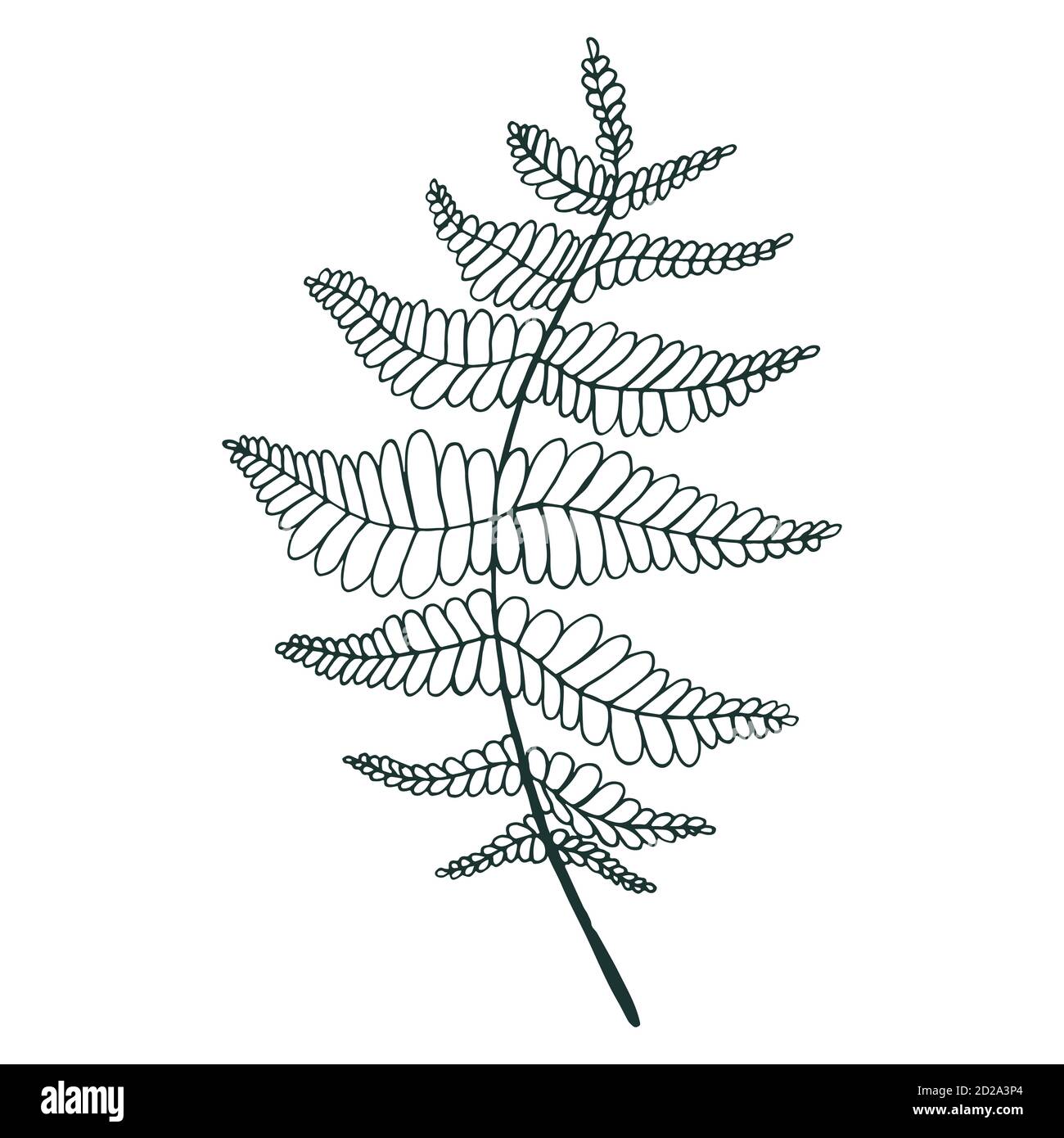 Coloring page fern leaf isolated pattern stock vector image art