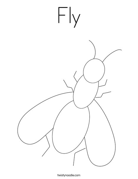 Fly coloring page