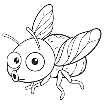Premium vector coloring pages or books for kids cute fly cartoon isolated on black and white