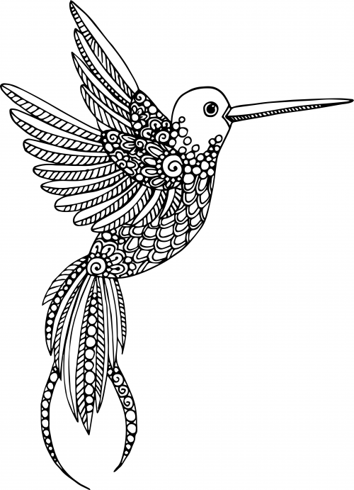 Advanced animal coloring page