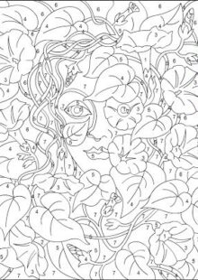 Adult color by number books
