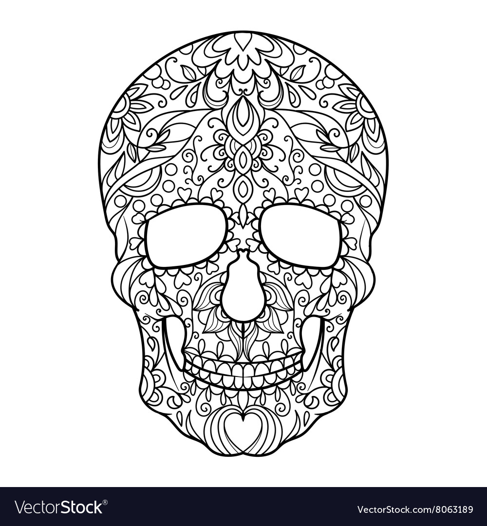 Skull coloring book for adults royalty free vector image