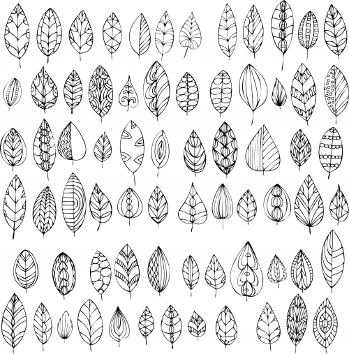 Fall leaves coloring page