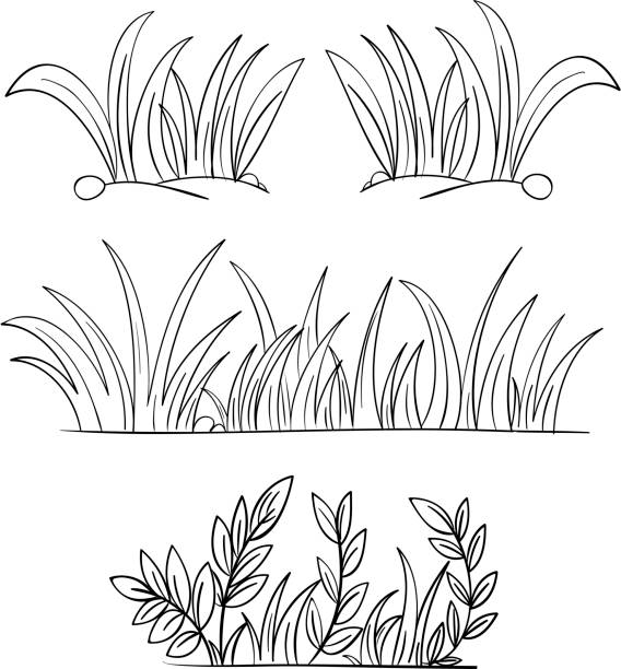 Grass coloring stock photos pictures royalty