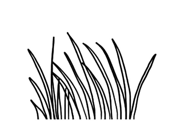 Long grass coloring pages color luna