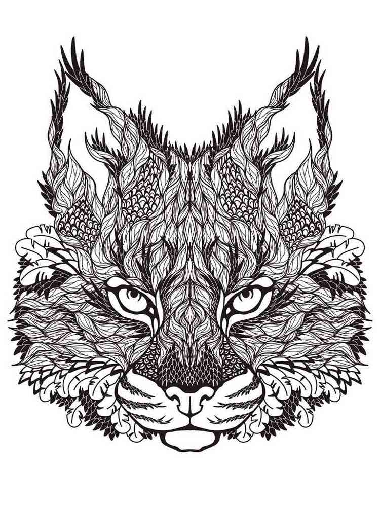 Lynx coloring pages for adults