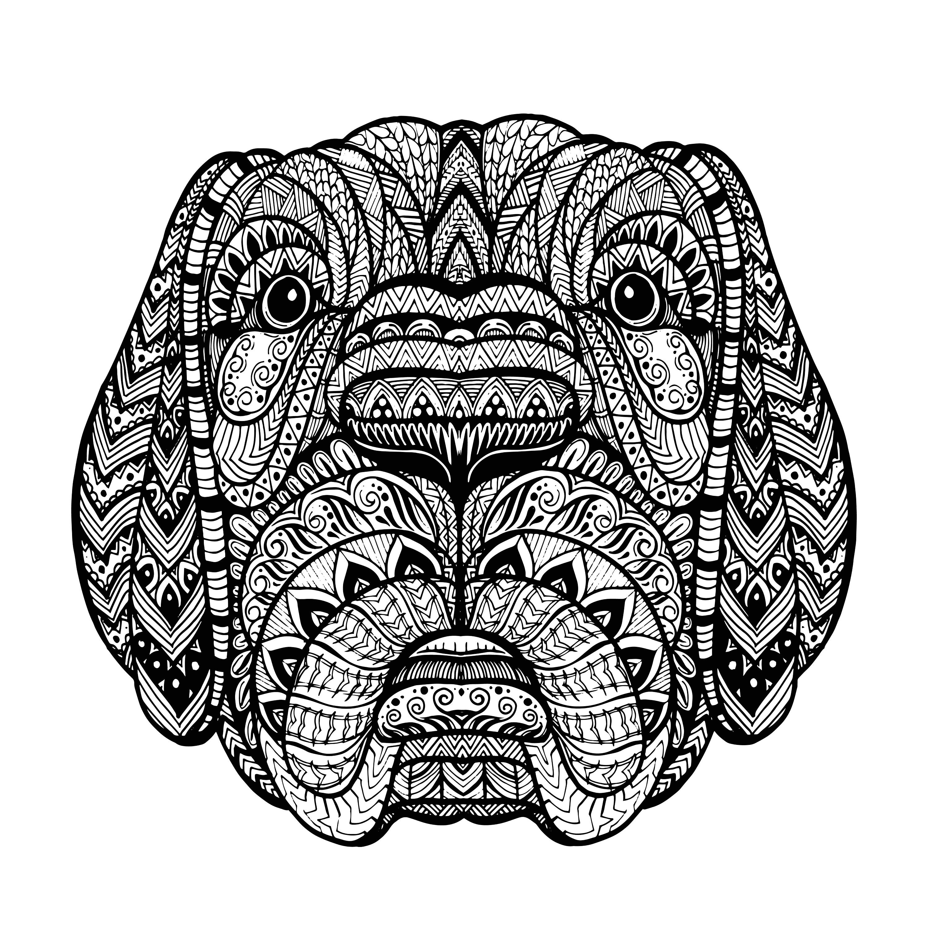 Small details hard difficult digital printable animal coloring book pages bonus instant download