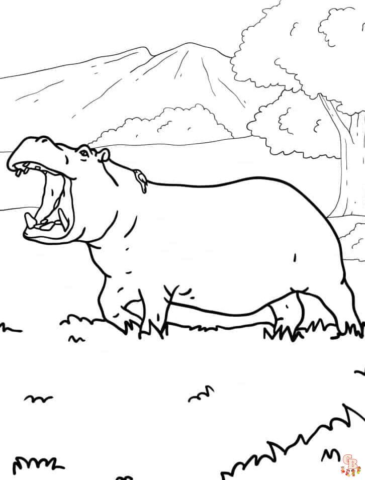 Printable hippo coloring pages free for kids and adults