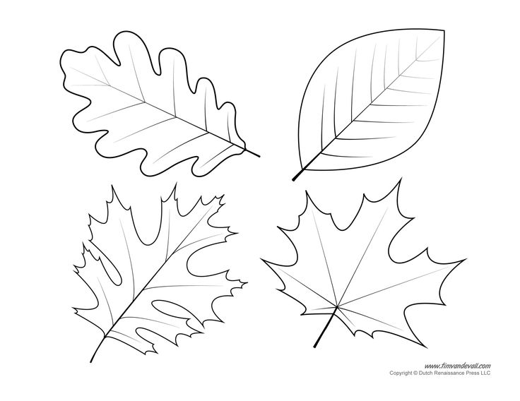 Leaf templates leaf coloring pages for kids leaf printables leaf coloring page fall leaves coloring pages leaf template printable