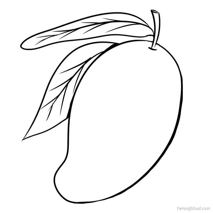 Printable mango coloring pages pdf for free