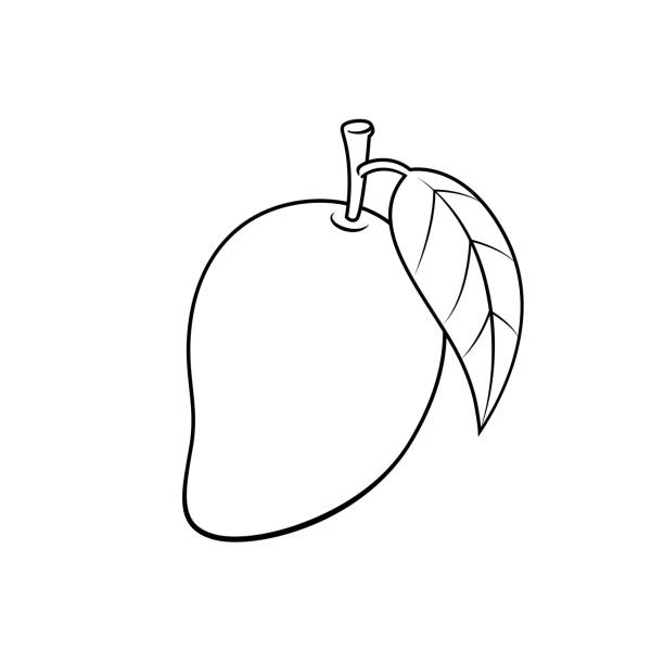 Vector illustration of mango isolated on white background for kids coloring book stock illustration