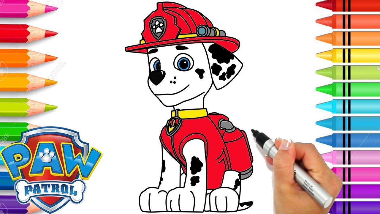How to draw paw patrol arshall coloring pages for kids learn to draw