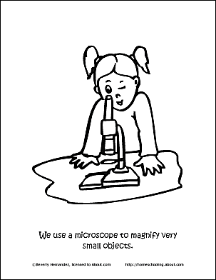 Learn about microscopes with fun free printables