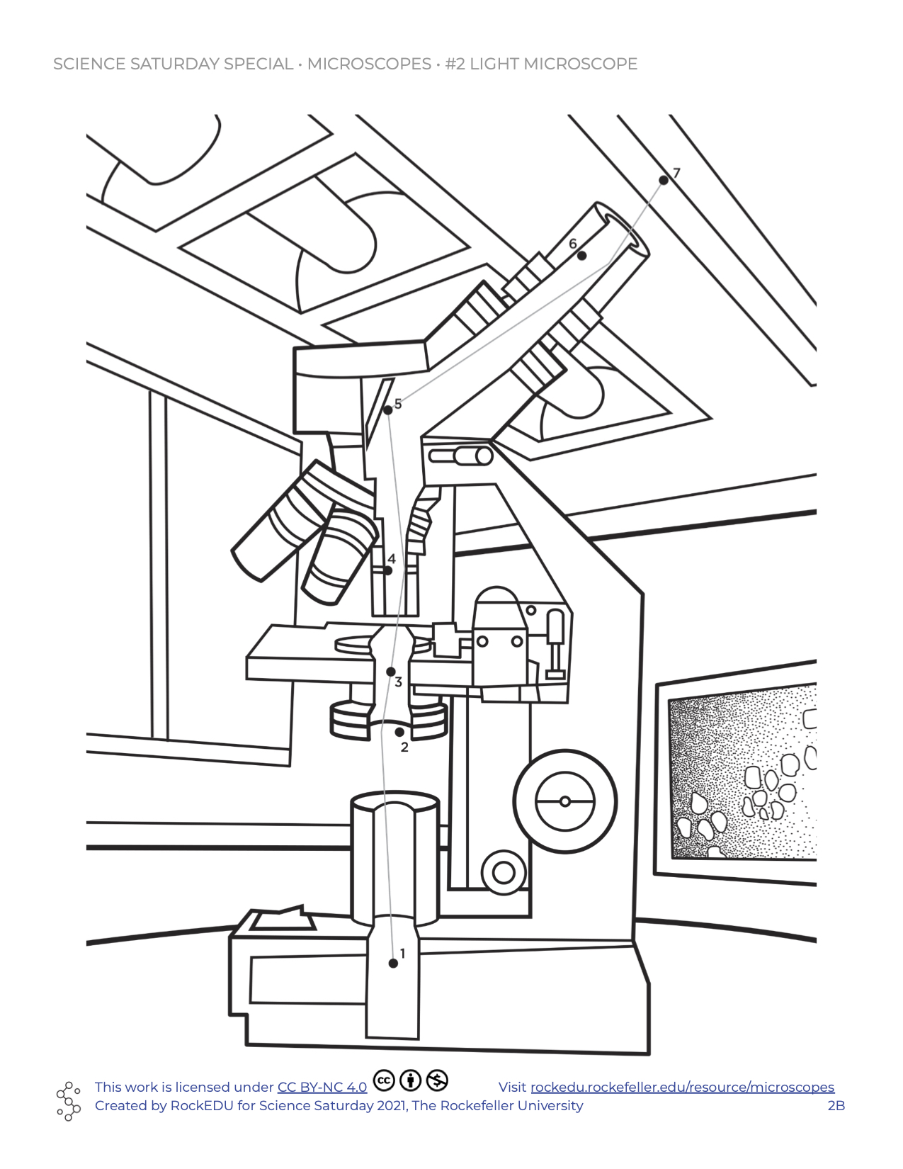 Learn about microscopes