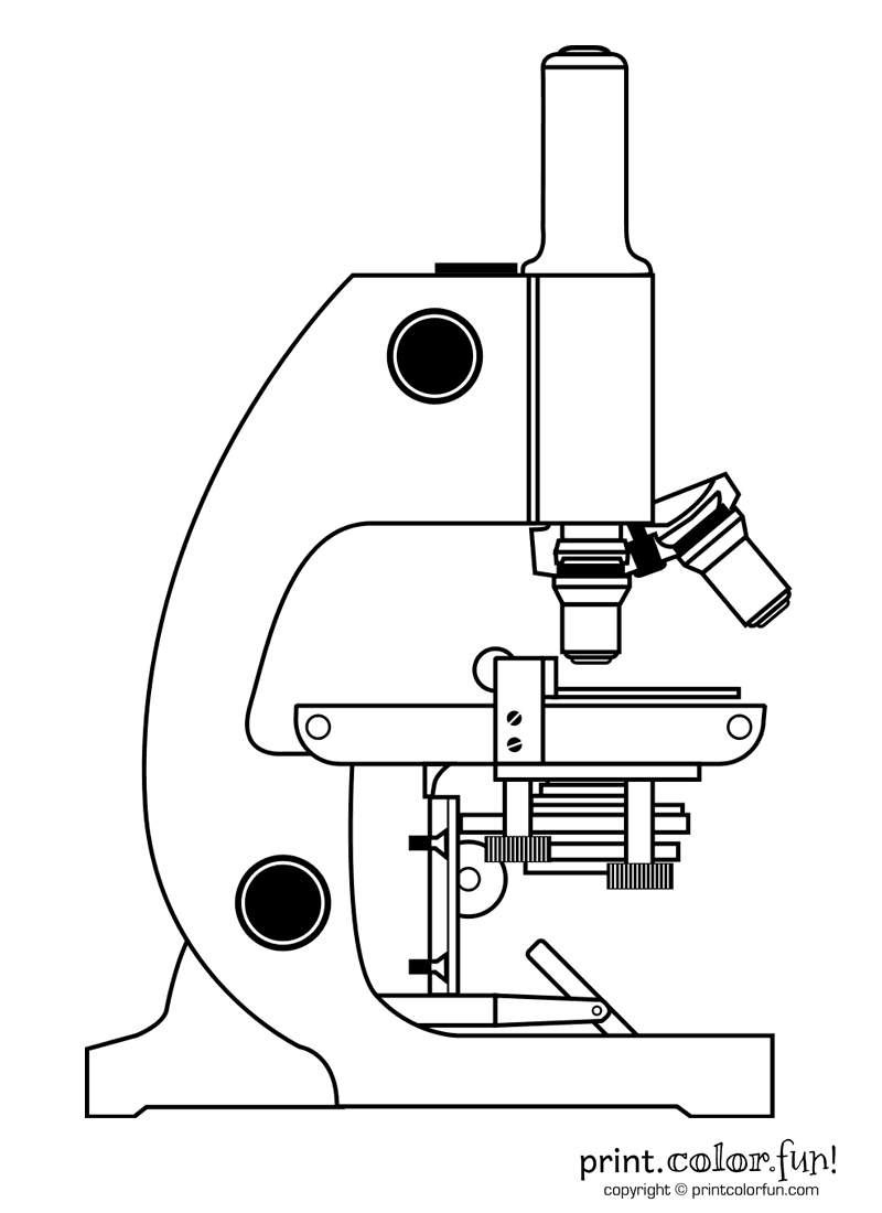 Microscopes for kids at